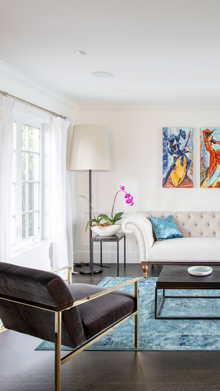 Vibrant Transitional Living Room